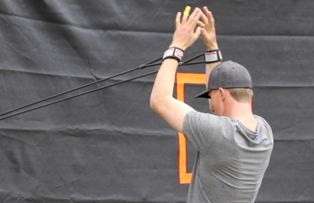 Biceps Curl Photo - Performance Plus