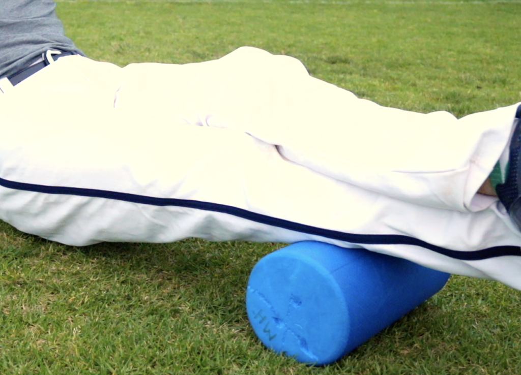 Calf Myo pic - Performance Plus