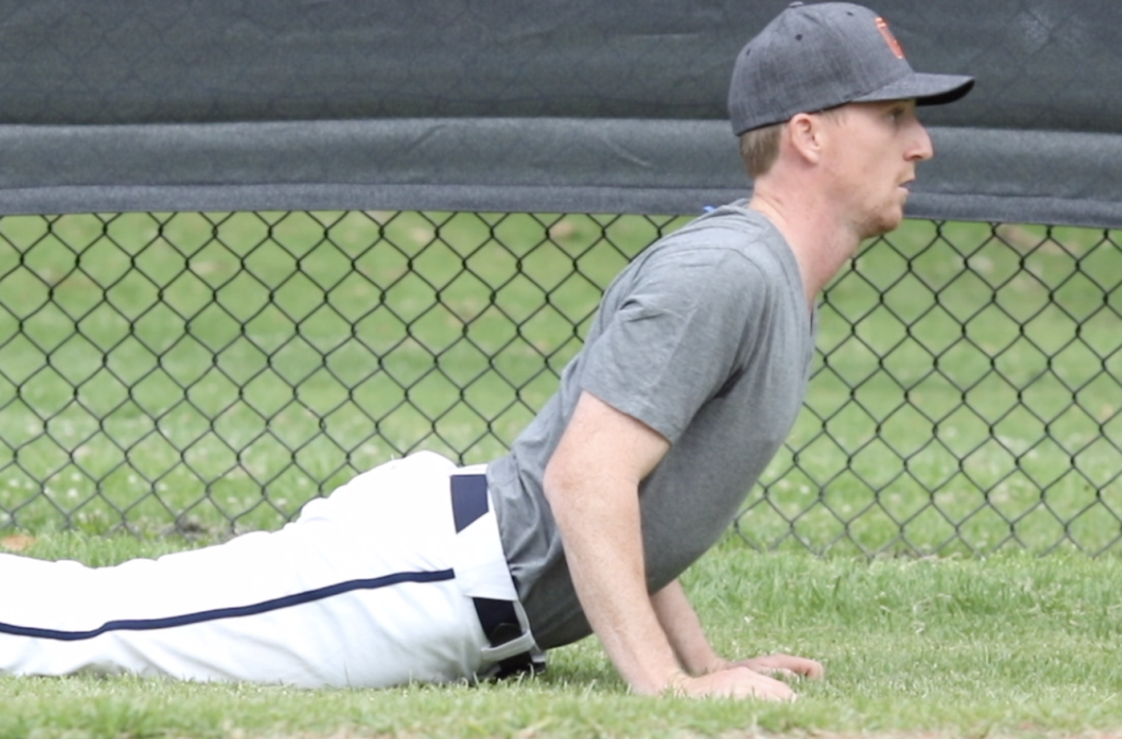 Cobra Pic - Performance Plus