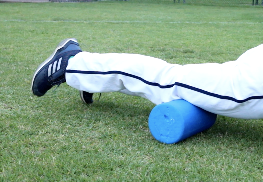 Quads Myo Pic - Performance Plus