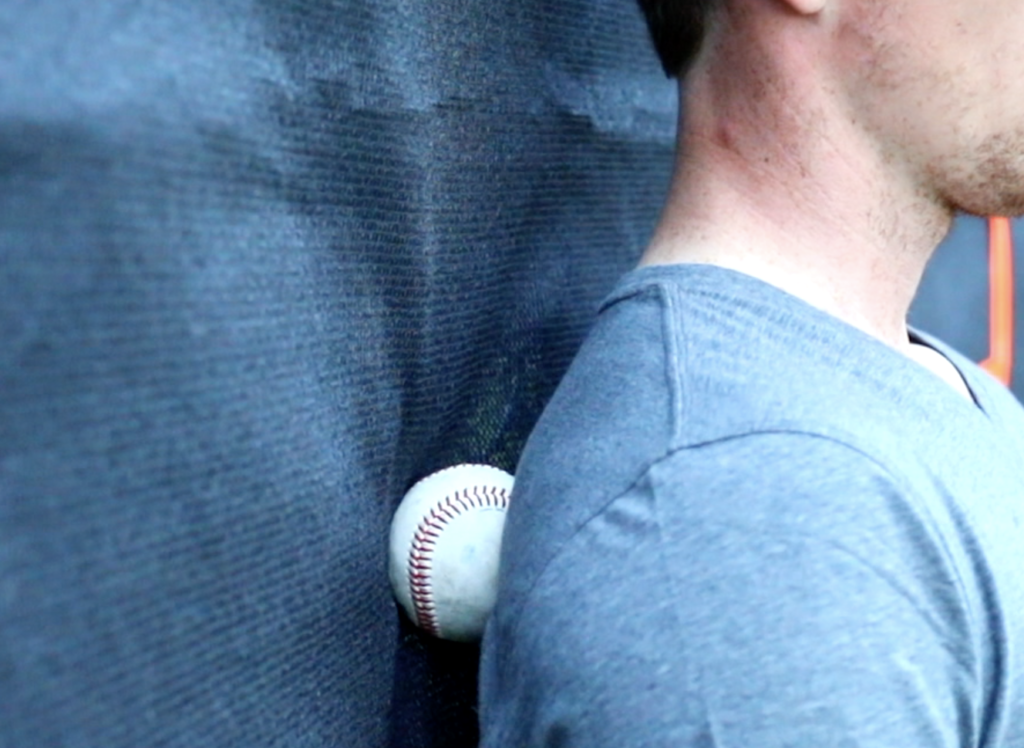 Scap Myo Pic - Performance Plus