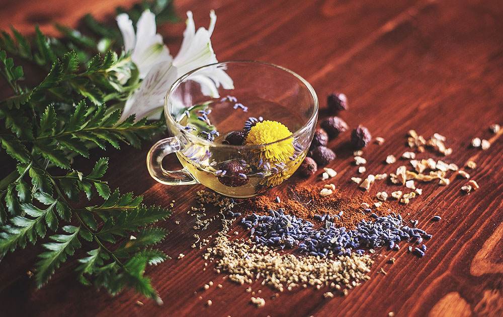 gut health - Performance Plus gut health