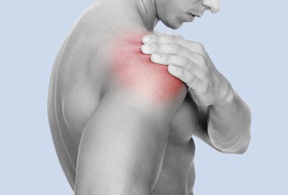 rotator cuff - Performance Plus Rotator cuff